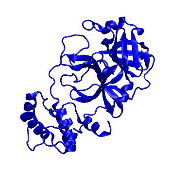 Structure preview of Folding@home molecular dynamics simulations of Diamond Light Source / XChem X-ray structures of small molecule inhibitors of the SARS-CoV-2 main protease from the COVID Moonshot; project 13433, run 109