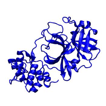 Structure preview of Folding@home molecular dynamics simulations of Diamond Light Source / XChem X-ray structures of small molecule inhibitors of the SARS-CoV-2 main protease from the COVID Moonshot; project 13433, run 110