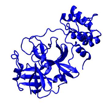 Structure preview of Folding@home molecular dynamics simulations of Diamond Light Source / XChem X-ray structures of small molecule inhibitors of the SARS-CoV-2 main protease from the COVID Moonshot; project 13433, run 111