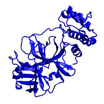 Structure preview of Folding@home molecular dynamics simulations of Diamond Light Source / XChem X-ray structures of small molecule inhibitors of the SARS-CoV-2 main protease from the COVID Moonshot; project 13433, run 115