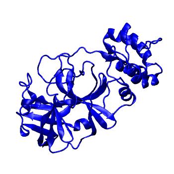Structure preview of Folding@home molecular dynamics simulations of Diamond Light Source / XChem X-ray structures of small molecule inhibitors of the SARS-CoV-2 main protease from the COVID Moonshot; project 13433, run 116