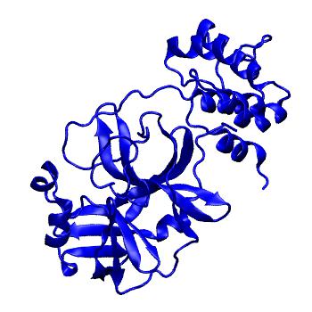Structure preview of Folding@home molecular dynamics simulations of Diamond Light Source / XChem X-ray structures of small molecule inhibitors of the SARS-CoV-2 main protease from the COVID Moonshot; project 13433, run 117