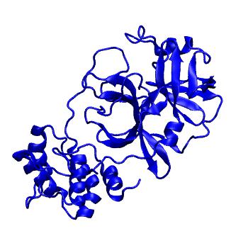 Structure preview of Folding@home molecular dynamics simulations of Diamond Light Source / XChem X-ray structures of small molecule inhibitors of the SARS-CoV-2 main protease from the COVID Moonshot; project 13433, run 118