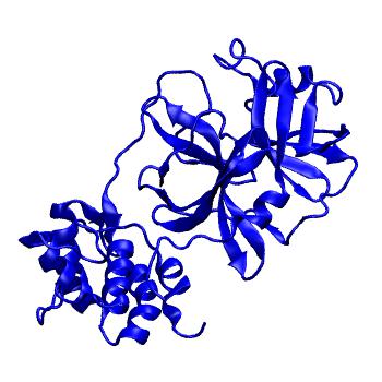 Structure preview of Folding@home molecular dynamics simulations of Diamond Light Source / XChem X-ray structures of small molecule inhibitors of the SARS-CoV-2 main protease from the COVID Moonshot; project 13433, run 11