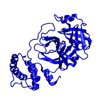 Structure preview of Folding@home molecular dynamics simulations of Diamond Light Source / XChem X-ray structures of small molecule inhibitors of the SARS-CoV-2 main protease from the COVID Moonshot; project 13433, run 120