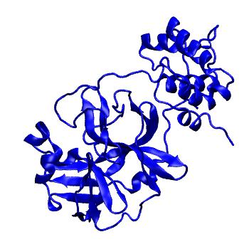 Structure preview of Folding@home molecular dynamics simulations of Diamond Light Source / XChem X-ray structures of small molecule inhibitors of the SARS-CoV-2 main protease from the COVID Moonshot; project 13433, run 123