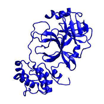 Structure preview of Folding@home molecular dynamics simulations of Diamond Light Source / XChem X-ray structures of small molecule inhibitors of the SARS-CoV-2 main protease from the COVID Moonshot; project 13433, run 124