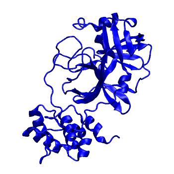 Structure preview of Folding@home molecular dynamics simulations of Diamond Light Source / XChem X-ray structures of small molecule inhibitors of the SARS-CoV-2 main protease from the COVID Moonshot; project 13433, run 126