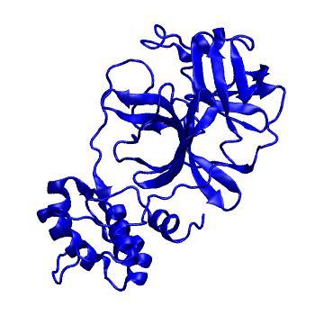 Structure preview of Folding@home molecular dynamics simulations of Diamond Light Source / XChem X-ray structures of small molecule inhibitors of the SARS-CoV-2 main protease from the COVID Moonshot; project 13433, run 12