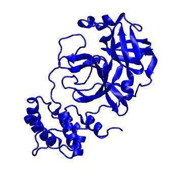 Structure preview of Folding@home molecular dynamics simulations of Diamond Light Source / XChem X-ray structures of small molecule inhibitors of the SARS-CoV-2 main protease from the COVID Moonshot; project 13433, run 132