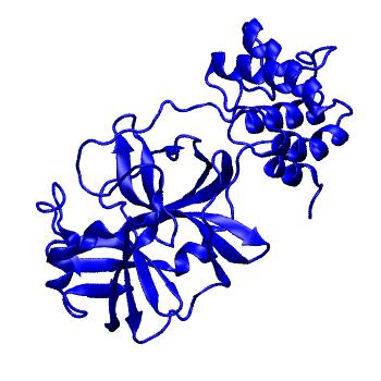 Structure preview of Folding@home molecular dynamics simulations of Diamond Light Source / XChem X-ray structures of small molecule inhibitors of the SARS-CoV-2 main protease from the COVID Moonshot; project 13433, run 137