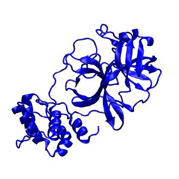 Structure preview of Folding@home molecular dynamics simulations of Diamond Light Source / XChem X-ray structures of small molecule inhibitors of the SARS-CoV-2 main protease from the COVID Moonshot; project 13433, run 138