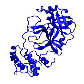 Structure preview of Folding@home molecular dynamics simulations of Diamond Light Source / XChem X-ray structures of small molecule inhibitors of the SARS-CoV-2 main protease from the COVID Moonshot; project 13433, run 139