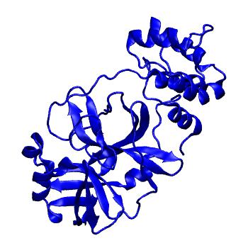 Structure preview of Folding@home molecular dynamics simulations of Diamond Light Source / XChem X-ray structures of small molecule inhibitors of the SARS-CoV-2 main protease from the COVID Moonshot; project 13433, run 140