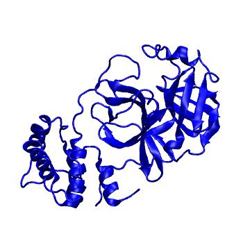Structure preview of Folding@home molecular dynamics simulations of Diamond Light Source / XChem X-ray structures of small molecule inhibitors of the SARS-CoV-2 main protease from the COVID Moonshot; project 13433, run 141