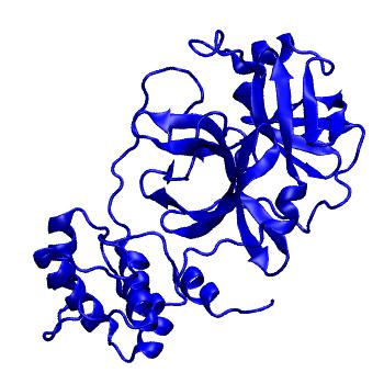 Structure preview of Folding@home molecular dynamics simulations of Diamond Light Source / XChem X-ray structures of small molecule inhibitors of the SARS-CoV-2 main protease from the COVID Moonshot; project 13433, run 145