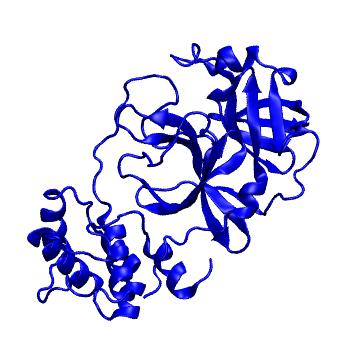 Structure preview of Folding@home molecular dynamics simulations of Diamond Light Source / XChem X-ray structures of small molecule inhibitors of the SARS-CoV-2 main protease from the COVID Moonshot; project 13433, run 147
