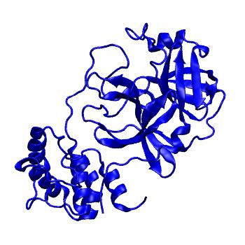 Structure preview of Folding@home molecular dynamics simulations of Diamond Light Source / XChem X-ray structures of small molecule inhibitors of the SARS-CoV-2 main protease from the COVID Moonshot; project 13433, run 14