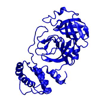 Structure preview of Folding@home molecular dynamics simulations of Diamond Light Source / XChem X-ray structures of small molecule inhibitors of the SARS-CoV-2 main protease from the COVID Moonshot; project 13433, run 150