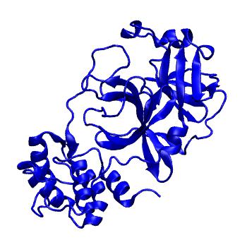 Structure preview of Folding@home molecular dynamics simulations of Diamond Light Source / XChem X-ray structures of small molecule inhibitors of the SARS-CoV-2 main protease from the COVID Moonshot; project 13433, run 151
