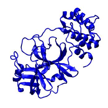 Structure preview of Folding@home molecular dynamics simulations of Diamond Light Source / XChem X-ray structures of small molecule inhibitors of the SARS-CoV-2 main protease from the COVID Moonshot; project 13433, run 154
