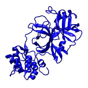 Structure preview of Folding@home molecular dynamics simulations of Diamond Light Source / XChem X-ray structures of small molecule inhibitors of the SARS-CoV-2 main protease from the COVID Moonshot; project 13433, run 155