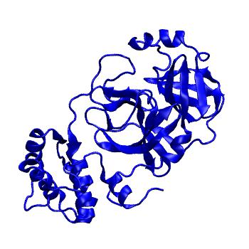 Structure preview of Folding@home molecular dynamics simulations of Diamond Light Source / XChem X-ray structures of small molecule inhibitors of the SARS-CoV-2 main protease from the COVID Moonshot; project 13433, run 156