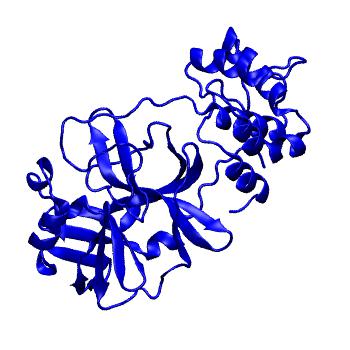 Structure preview of Folding@home molecular dynamics simulations of Diamond Light Source / XChem X-ray structures of small molecule inhibitors of the SARS-CoV-2 main protease from the COVID Moonshot; project 13433, run 157