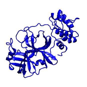 Structure preview of Folding@home molecular dynamics simulations of Diamond Light Source / XChem X-ray structures of small molecule inhibitors of the SARS-CoV-2 main protease from the COVID Moonshot; project 13433, run 159