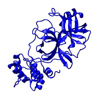 Structure preview of Folding@home molecular dynamics simulations of Diamond Light Source / XChem X-ray structures of small molecule inhibitors of the SARS-CoV-2 main protease from the COVID Moonshot; project 13433, run 160