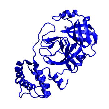 Structure preview of Folding@home molecular dynamics simulations of Diamond Light Source / XChem X-ray structures of small molecule inhibitors of the SARS-CoV-2 main protease from the COVID Moonshot; project 13433, run 162