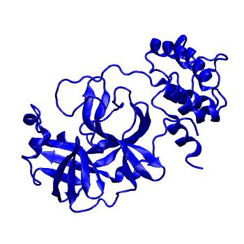 Structure preview of Folding@home molecular dynamics simulations of Diamond Light Source / XChem X-ray structures of small molecule inhibitors of the SARS-CoV-2 main protease from the COVID Moonshot; project 13433, run 163