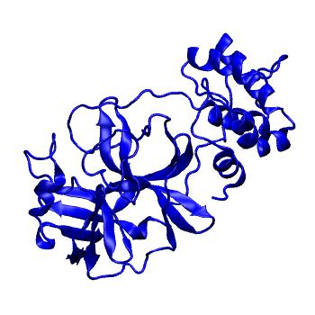 Structure preview of Folding@home molecular dynamics simulations of Diamond Light Source / XChem X-ray structures of small molecule inhibitors of the SARS-CoV-2 main protease from the COVID Moonshot; project 13433, run 164