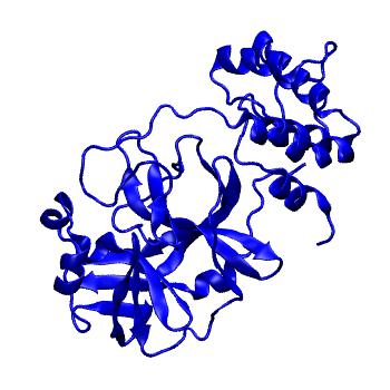 Structure preview of Folding@home molecular dynamics simulations of Diamond Light Source / XChem X-ray structures of small molecule inhibitors of the SARS-CoV-2 main protease from the COVID Moonshot; project 13433, run 167