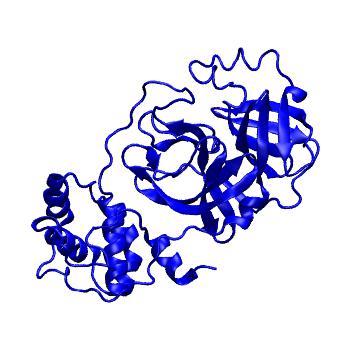 Structure preview of Folding@home molecular dynamics simulations of Diamond Light Source / XChem X-ray structures of small molecule inhibitors of the SARS-CoV-2 main protease from the COVID Moonshot; project 13433, run 168