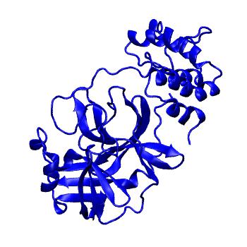 Structure preview of Folding@home molecular dynamics simulations of Diamond Light Source / XChem X-ray structures of small molecule inhibitors of the SARS-CoV-2 main protease from the COVID Moonshot; project 13433, run 16