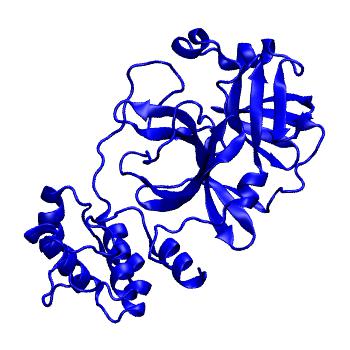 Structure preview of Folding@home molecular dynamics simulations of Diamond Light Source / XChem X-ray structures of small molecule inhibitors of the SARS-CoV-2 main protease from the COVID Moonshot; project 13433, run 170