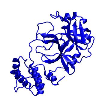 Structure preview of Folding@home molecular dynamics simulations of Diamond Light Source / XChem X-ray structures of small molecule inhibitors of the SARS-CoV-2 main protease from the COVID Moonshot; project 13433, run 173