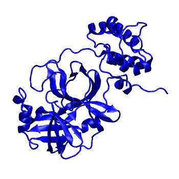 Structure preview of Folding@home molecular dynamics simulations of Diamond Light Source / XChem X-ray structures of small molecule inhibitors of the SARS-CoV-2 main protease from the COVID Moonshot; project 13433, run 174