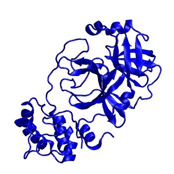 Structure preview of Folding@home molecular dynamics simulations of Diamond Light Source / XChem X-ray structures of small molecule inhibitors of the SARS-CoV-2 main protease from the COVID Moonshot; project 13433, run 175