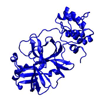 Structure preview of Folding@home molecular dynamics simulations of Diamond Light Source / XChem X-ray structures of small molecule inhibitors of the SARS-CoV-2 main protease from the COVID Moonshot; project 13433, run 19