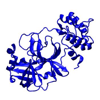 Structure preview of Folding@home molecular dynamics simulations of Diamond Light Source / XChem X-ray structures of small molecule inhibitors of the SARS-CoV-2 main protease from the COVID Moonshot; project 13433, run 200