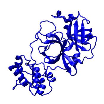 Structure preview of Folding@home molecular dynamics simulations of Diamond Light Source / XChem X-ray structures of small molecule inhibitors of the SARS-CoV-2 main protease from the COVID Moonshot; project 13433, run 207