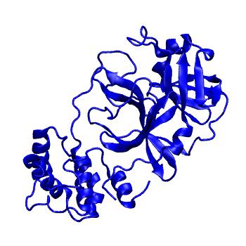 Structure preview of Folding@home molecular dynamics simulations of Diamond Light Source / XChem X-ray structures of small molecule inhibitors of the SARS-CoV-2 main protease from the COVID Moonshot; project 13433, run 210