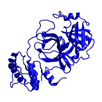 Structure preview of Folding@home molecular dynamics simulations of Diamond Light Source / XChem X-ray structures of small molecule inhibitors of the SARS-CoV-2 main protease from the COVID Moonshot; project 13433, run 211