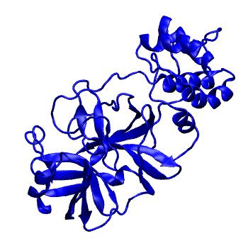 Structure preview of Folding@home molecular dynamics simulations of Diamond Light Source / XChem X-ray structures of small molecule inhibitors of the SARS-CoV-2 main protease from the COVID Moonshot; project 13433, run 212