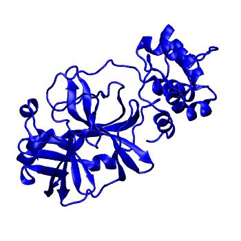 Structure preview of Folding@home molecular dynamics simulations of Diamond Light Source / XChem X-ray structures of small molecule inhibitors of the SARS-CoV-2 main protease from the COVID Moonshot; project 13433, run 214