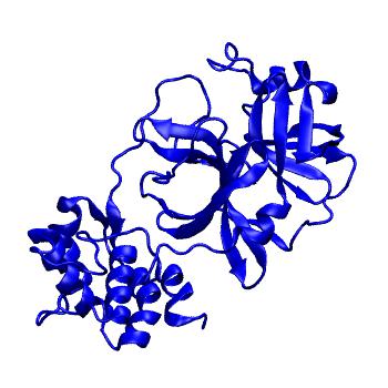 Structure preview of Folding@home molecular dynamics simulations of Diamond Light Source / XChem X-ray structures of small molecule inhibitors of the SARS-CoV-2 main protease from the COVID Moonshot; project 13433, run 215