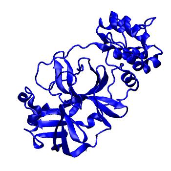 Structure preview of Folding@home molecular dynamics simulations of Diamond Light Source / XChem X-ray structures of small molecule inhibitors of the SARS-CoV-2 main protease from the COVID Moonshot; project 13433, run 216