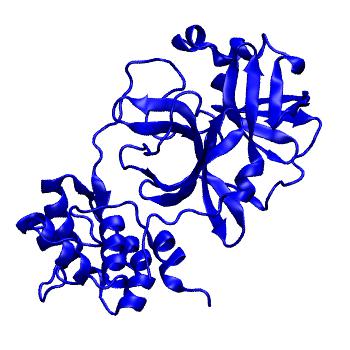Structure preview of Folding@home molecular dynamics simulations of Diamond Light Source / XChem X-ray structures of small molecule inhibitors of the SARS-CoV-2 main protease from the COVID Moonshot; project 13433, run 217